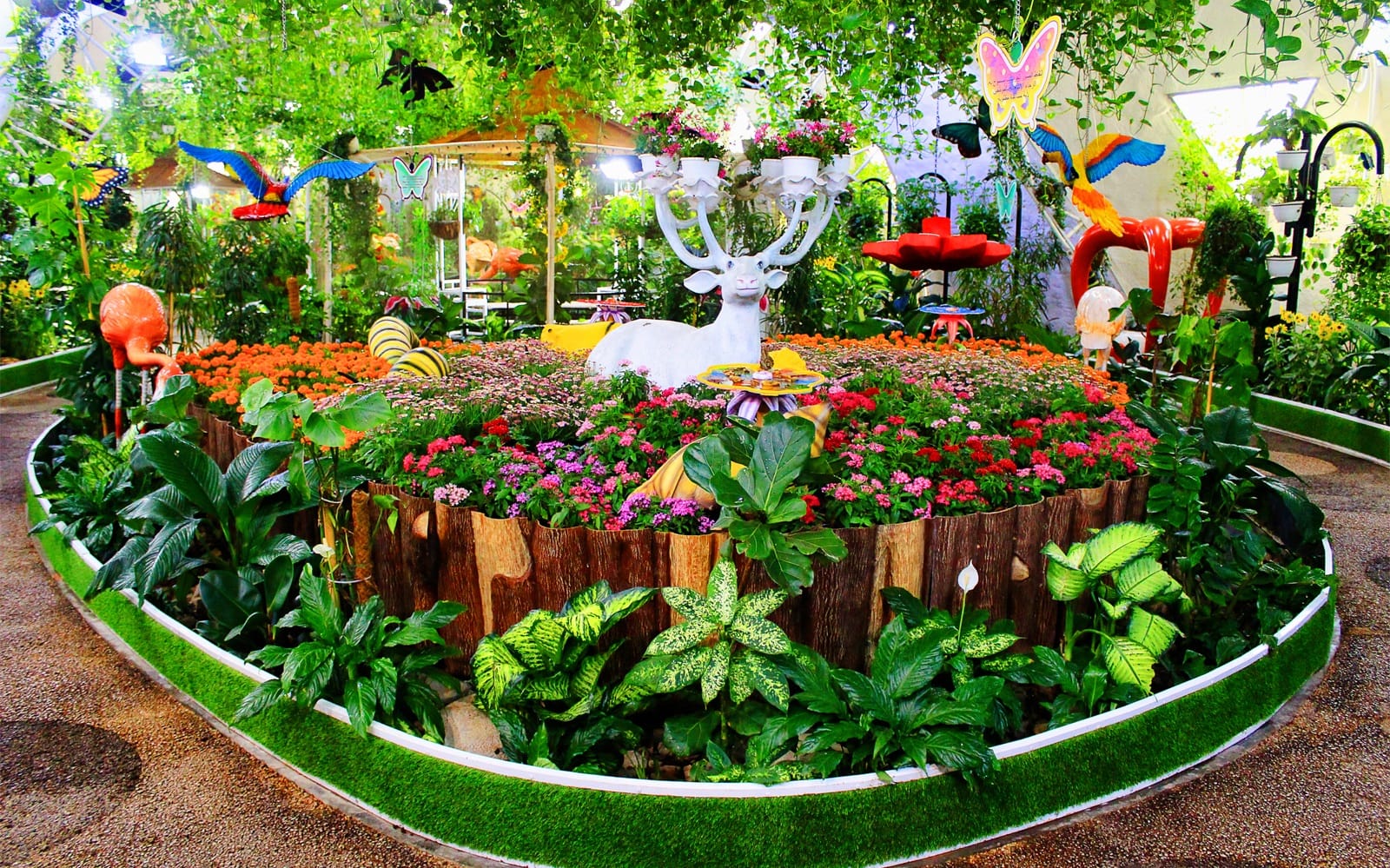 Dubai Butterfly Garden Tickets