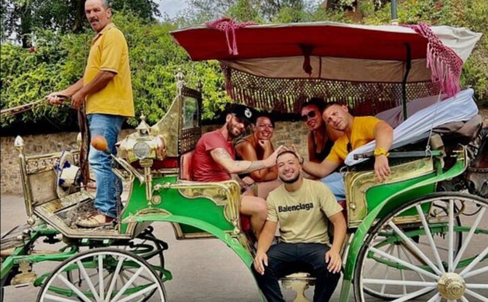 Private One-Hour Horse Carriage Tour in Marrakech Medina