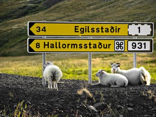 5-Day Small Group Journey Around Iceland, photo 18