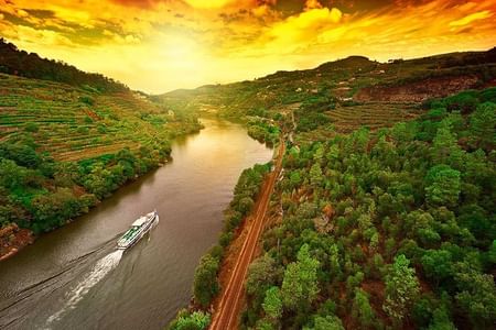 Day Cruise from Porto to Pinhão with Breakfast and Lunch