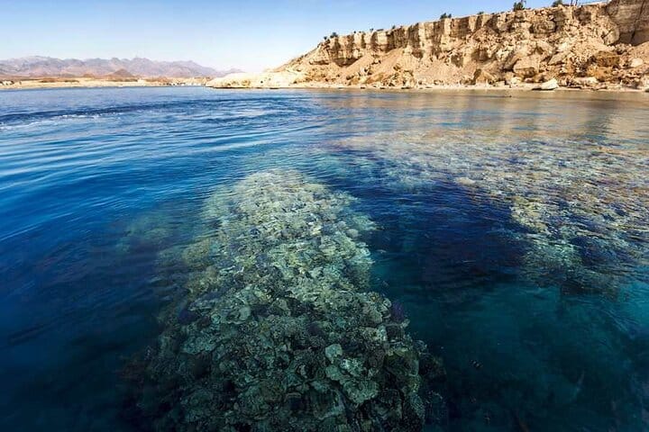 Ras Mohamed & White Island Snorkeling Cruise from Sharm El Sheikh