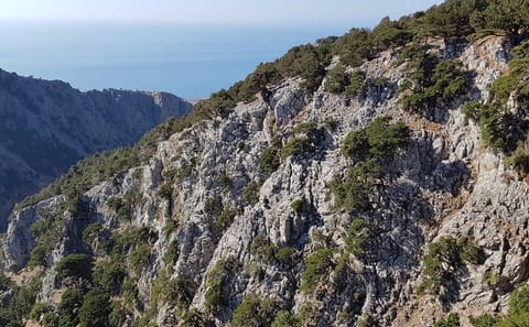 Hiking Adventure in Imbros Gorge from Chania, Greece