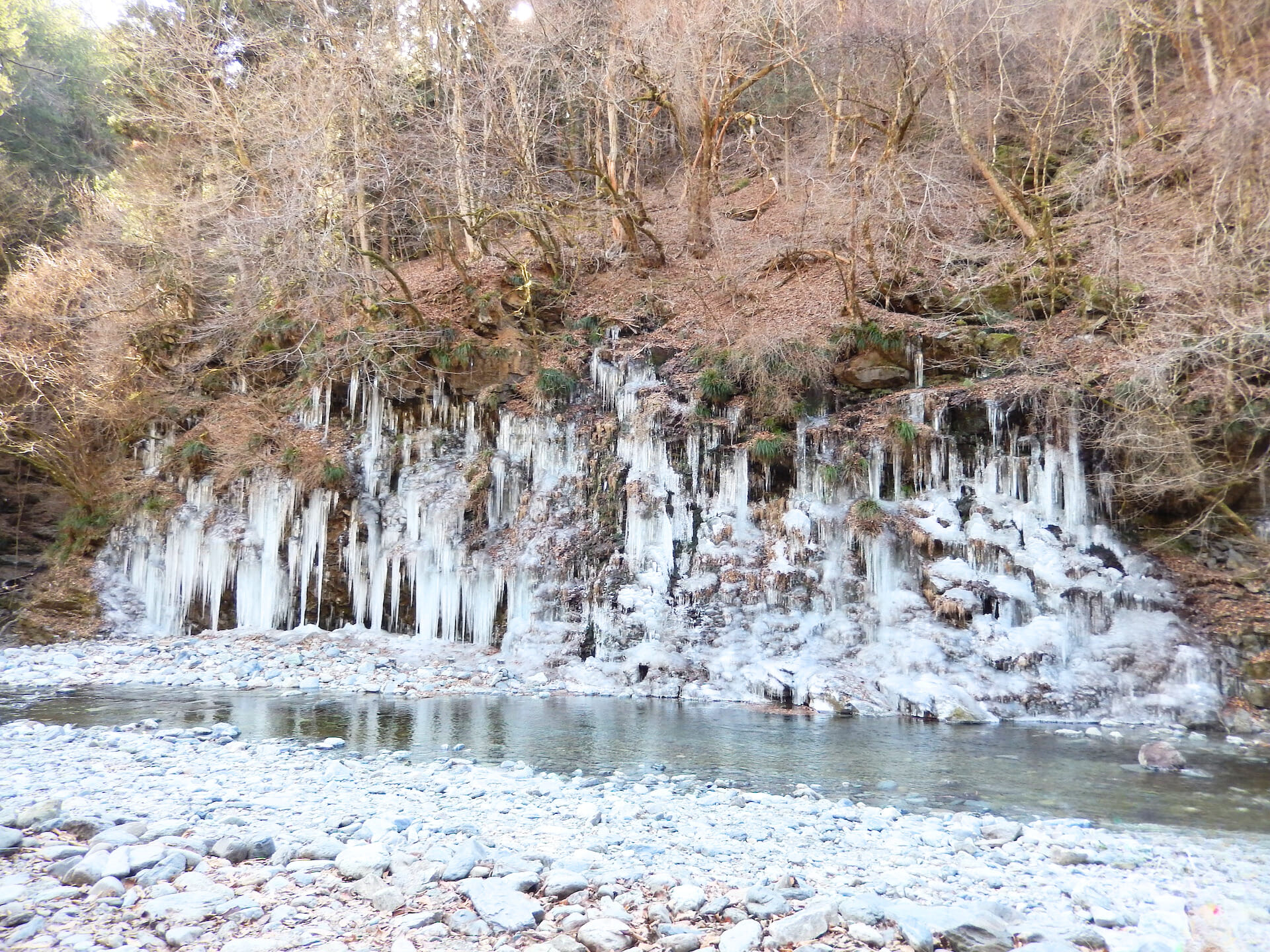 MyProGuide Japan | Reliable Japan Local Day Tour Guides