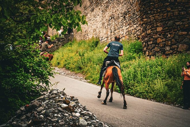 Highlights of Caucasus Mountains-Jinvali,Ananuri,Gudauri,Kazbegi(Group tour) 10