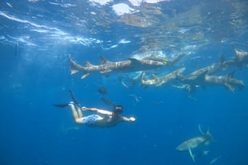 Maafushi full day tour