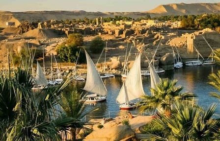 Aswan Botanical Garden Tour and Felucca Sailing Experience