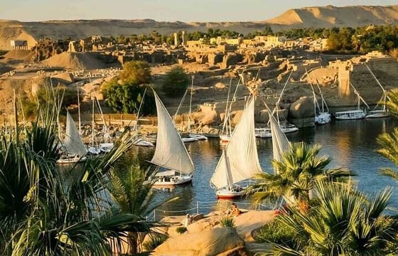 Aswan Botanical Garden Tour and Felucca Sailing Experience