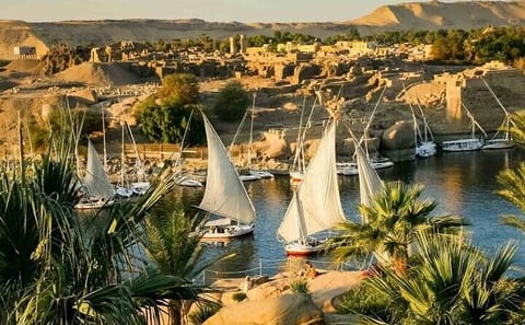 Aswan Botanical Garden and Felucca Sailing Tour