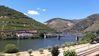 Private Douro Valley Wineries Tour with Wine-tastings and Typical Lunch 5