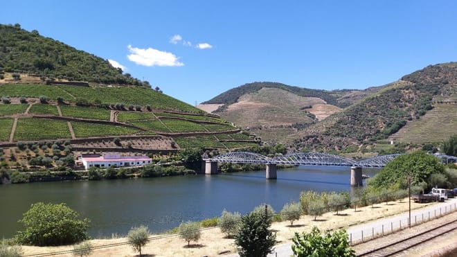 Private Douro Valley Wineries Tour with Wine-tastings and Typical Lunch photo 5
