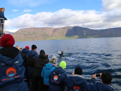 7 Day - Complete Iceland - Adventure Package , photo 5