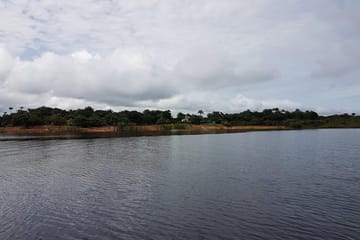 Amazon Jungle Adventure: 3-Day Tour from Manaus
