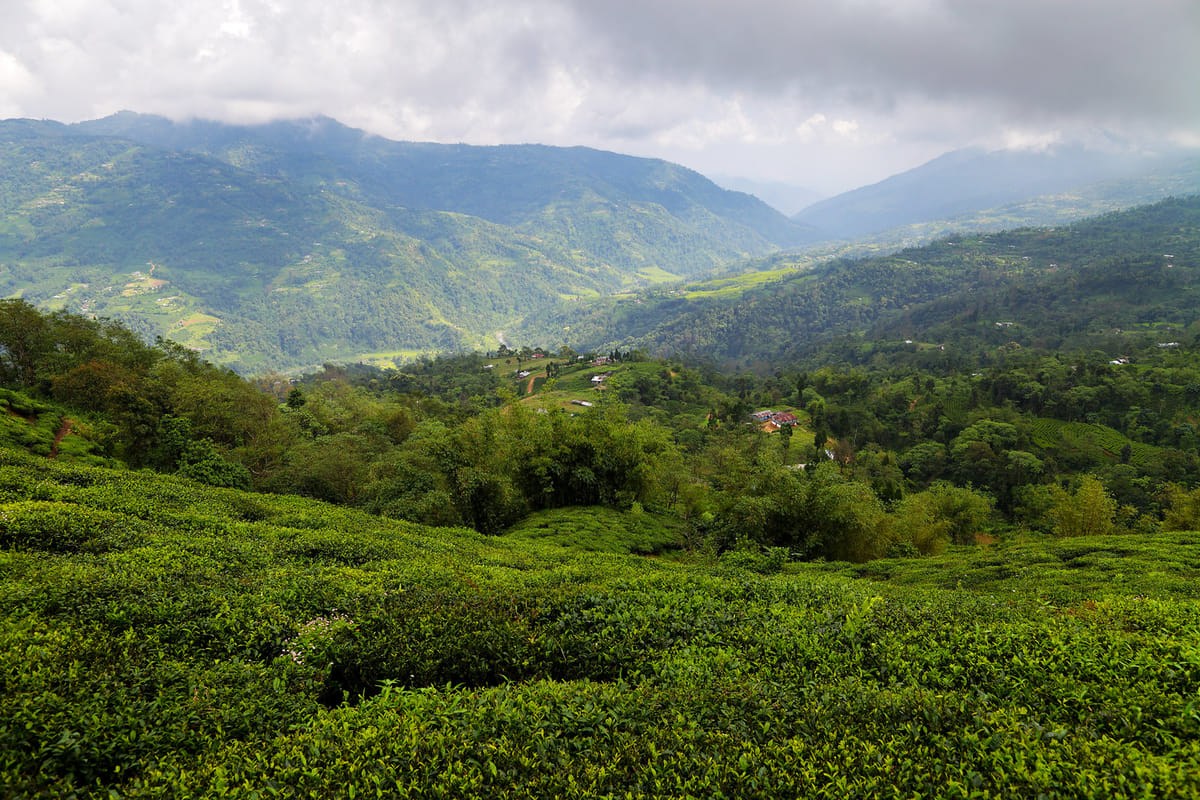 19 Days Mera Peak Climbing & Expedition – One Life-Changing Himalayan Adventure