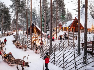 Meet Santa Claus’ Reindeer in Santa Claus Village, Rovaniemi
