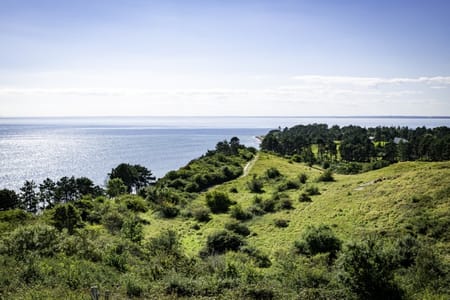 Paphos: Blue Lagoon Boat Adventure with Bus Transfer