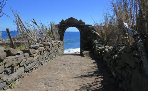 Northeast Madeira 4x4 Tour: Explore Arco de Sao Jorge and Caniçal