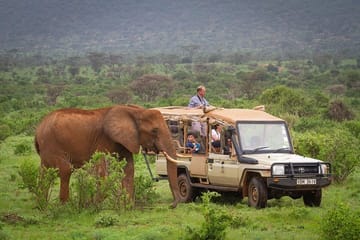 4-Day ATV Safari in Samburu and Aberdares National Parks