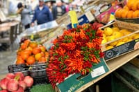 Fish Shopping in Rialto and Home Cooking in Murano 2
