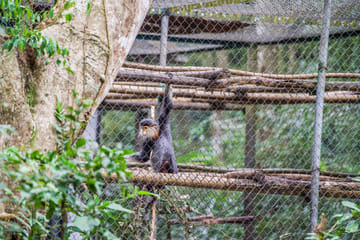 Cuc Phuong National Park Day Tour – Hiking