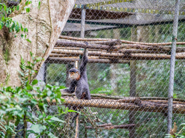Hiking Adventure in Cuc Phuong National Park from Hanoi