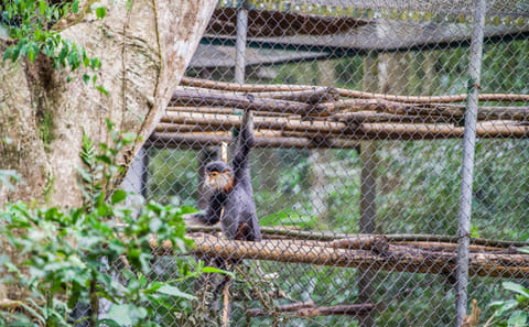 Hiking Adventure in Cuc Phuong National Park from Hanoi