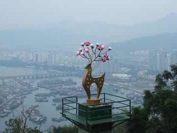 Sanya: Luhuitou Park Sunset & Local Seafood Market Half-Day Tour