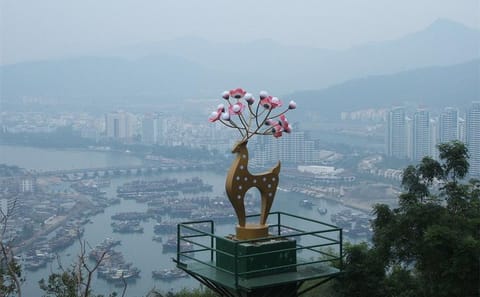 Luhuitou Park Sunset and Seafood Dinner Tour in Sanya