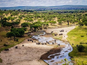 Tanzania Big Game Safari