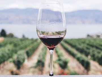 Kefalonia Wine Tour: 18 Tastings at 3 Local Wineries