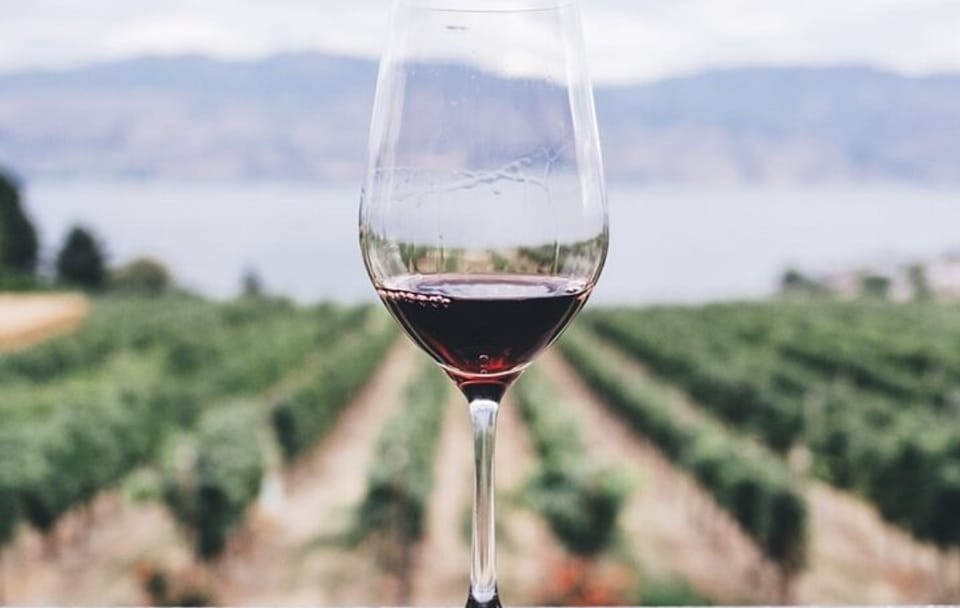 Kefalonia Wine Tour: 18 Tastings at 3 Local Wineries