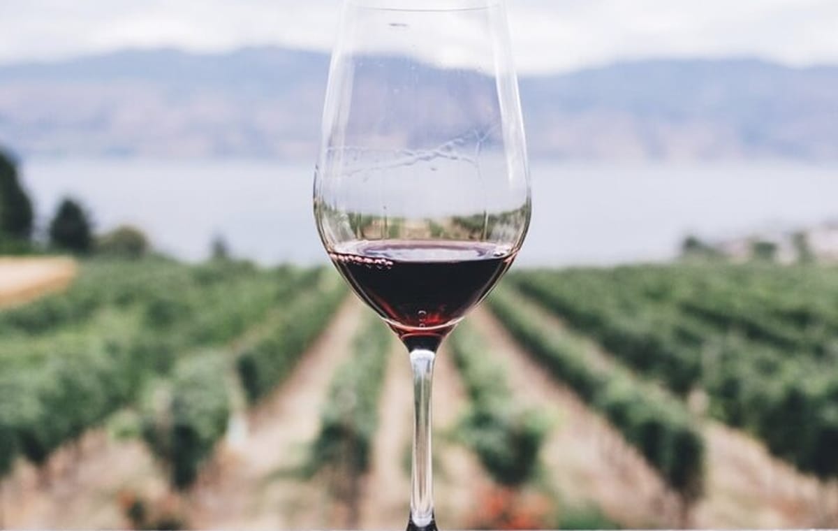 Kefalonia Wine Adventure with 18 Wine Tastings in 3 Wineries