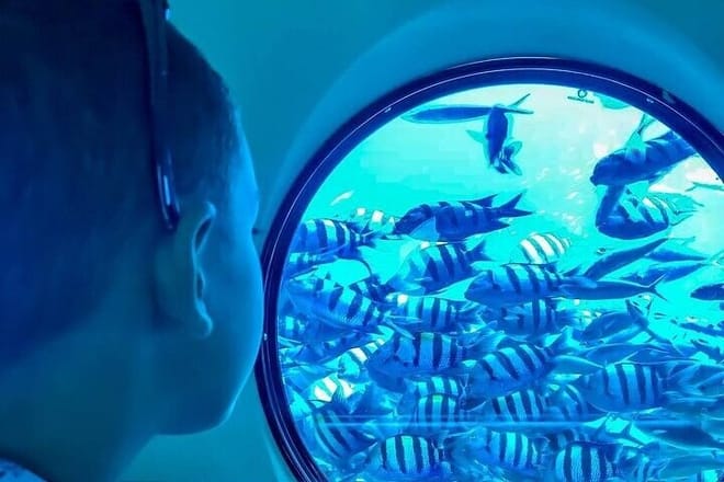Enjoy a 2 Hours Semi Submarine &amp; Snorkeling Trip - Marsa Alam