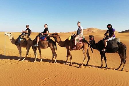 Merzouga Camel Trekking Adventure: Overnight in Berber Bivouac Camp