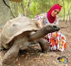Zanzibar Prison Island Giant Big Tortoise Tour 4