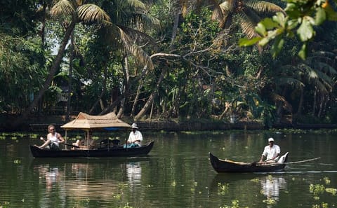 Cultural and Scenic Tour of Alappuzha and Fort Kochi