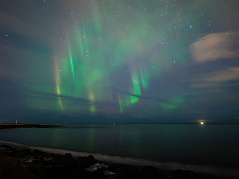 Christmas Day Northern Lights Tour, photo 5