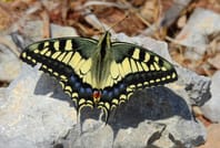 Mistra Valley & Selmun Nature Walking Tour (Private Tour) 4