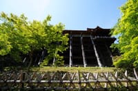 Kyoto Early Morning E Biking Tour Fushimi Inari Kiyomizu Temple 7