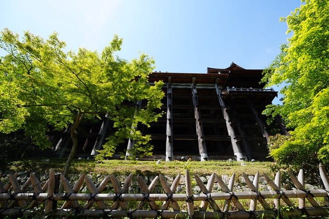 Kyoto Early Morning E Biking Tour Fushimi Inari Kiyomizu Temple 7