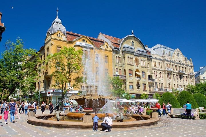 Private Day Trip to Timisoara from Belgrade 7