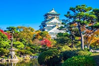 Tour and Food Tour in Osaka with Goverment Guide All incluided 1