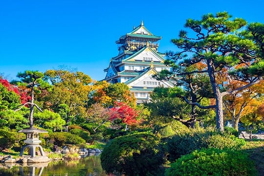 Tour and Food Tour in Osaka with Goverment Guide All incluided