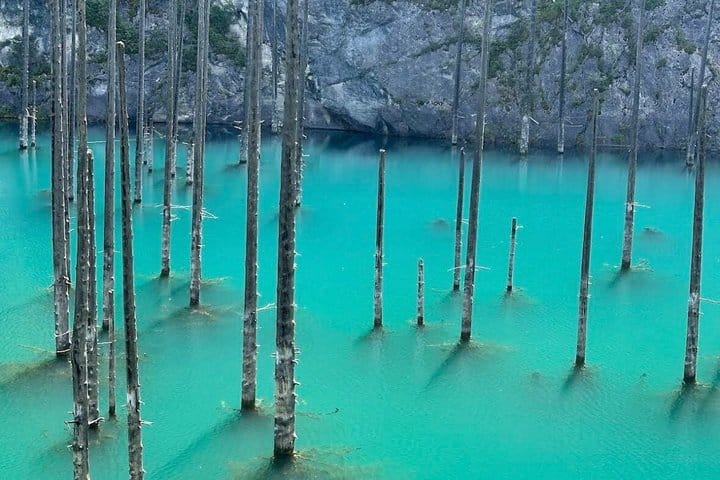 Sunken forest inside Kaindy Lake with calm water and mountain scenery in Kazakhstan