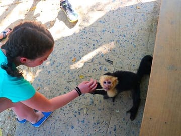 Zip-Line Adventure and Nature Tour in Coxen Hole, Honduras