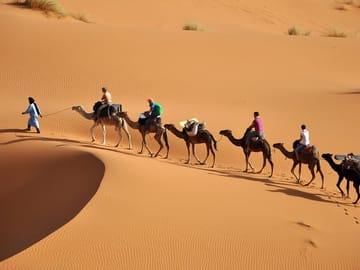 Desert Delights: 4-Day From Fes to Merzouga and Marrakech