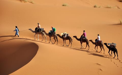 Desert Delights: 4-Day From Fes to Merzouga and Marrakech