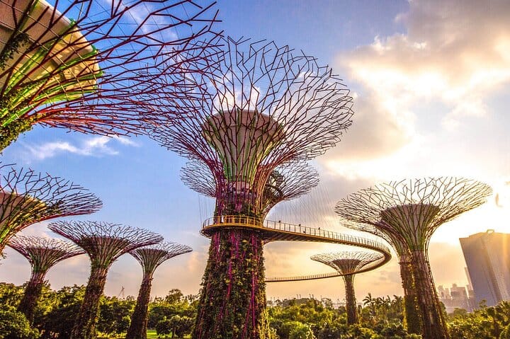 Singapore Half Day City Tour w Skypark and Gardens By The Bay