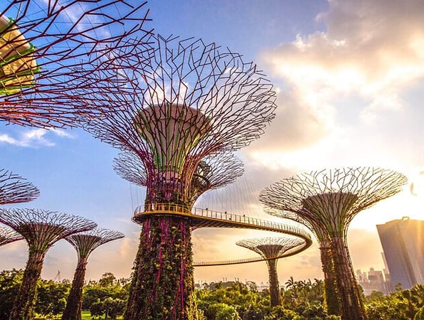 Singapore Half Day City Tour with SkyPark and Gardens by the Bay product photo