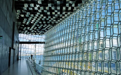 Reykjavik Art Walking Tour with Museum Visits and Wine