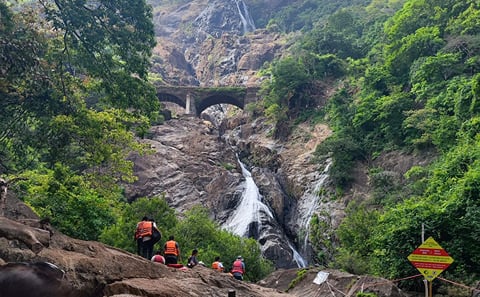 Dudhsagar Falls and Tambdisurla Temples Day Tour from Goa